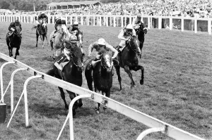 01268 Prints: King George VI and Queen Elizabeth Stakes, Ascot, Saturday 23rd July 1977