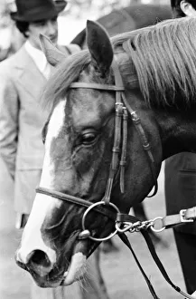 King George VI and Queen Elizabeth Stakes, Ascot, Saturday 23rd July 1977