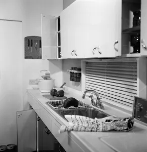 A kitchen designed in conjunction with Daily Mirror columnist Cassandra on show