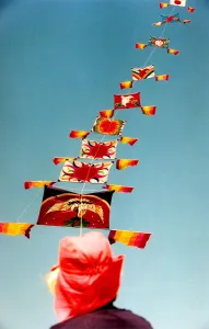 Kites at Washingtons Northern Area Playing fields for the annual festival in June