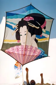00111 Prints: Kites at Washingtons Northern Area Playing fields for the annual festival in June