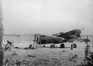 Plane Prints: A Kittybomber Curtiss P-40 plane of Number 112 Squadron of the Royal Air Force