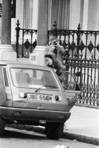 Photographer Prints: Koo Stark, Actress arrives back at her Brompton Road flat after being away for 3 months
