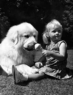 00053 Prints: Kop the cool one snaffles little beathers ice cream at Duchesss party for dogs