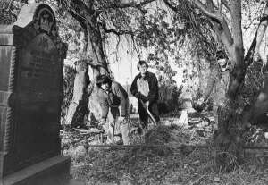 00054 Prints: l to r, Malcolm Storey, George McCreedy and Ian Storey clean up the cemetery at Prudhoe