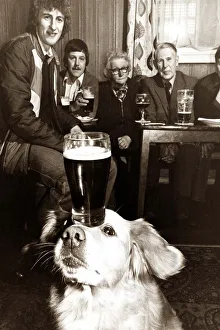 Balance Prints: A labrador balances a pint of guinness on his forhead as other pub-goers look on in