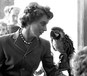 00187 Prints: Lady with a parrot in a pet shop, Coventry July 1962 Local Caption Neg no