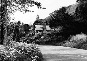 Lake District - A lush corner of Lakeland on the way into Keswick from Bassenthwaite 4