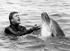Images Dated 9th July 1984: Lakeman and Percy the dolphin frolic together. July 1984 P011844