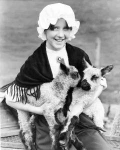 Lambs Prints: Lambing at Beamish Museum - Teeswater lambs and visitor Vicky Wark