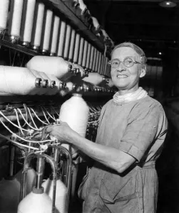 Textiles Prints: A Lancashire Mill fights back. Oldest worker in the mill is 70 year old Mrs