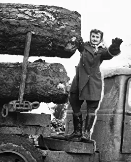 Logs Prints: Land Army logging camp in Haltwhistle during Second World War. 9th February 1944
