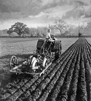 00166 Collection: Land girl plowing field with tractor in Berkshire. November 1940