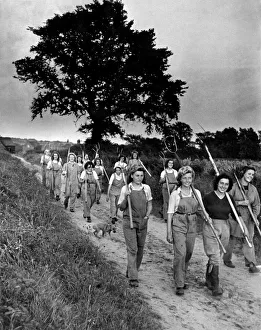 Harvest Prints: Land girls on their way home from the field in military area East Anglia The crops have