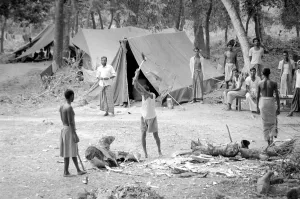 A large area of East Pakistan territory is under the control of the Bangladesh Freedom