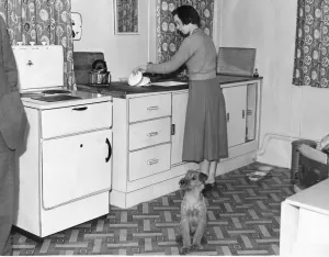 Housework Prints: The latest in Kitchen at the Royal Show held in Newcastle - Fido the dog is obvisiously