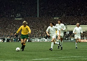 League Cup Final at Wembley Stadium Tottenham Hotspur 1 v Norwich City 0