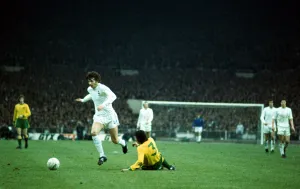 League Cup Final at Wembley Stadium Tottenham Hotspur 1 v Norwich City 0
