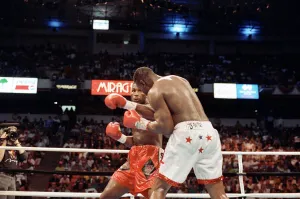 01106 Prints: Lennox Lewis vs. Tony Tucker, billed as Star Spangled Glory