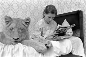 Leonie'the Lioness. Leonie is the favourite pet of the youngest daughter of