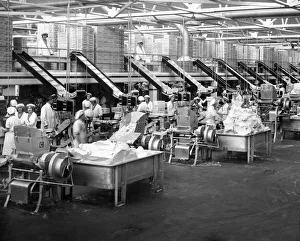 00864 Prints: Levers margarine factory, a view of the vast packing section. 1st June 1932