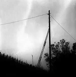 00421 Prints: Lib - A cat climbed to the top of the pole on a railway embankment on Shields Road in
