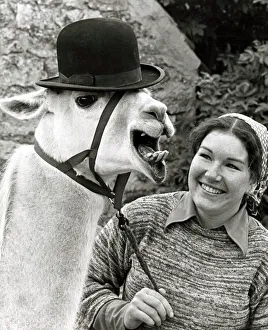 00186 Prints: Libby the Llama wearing a bowler hat with owner Julie Cook in her tiny Yorkshire village