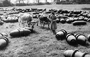 Agriculture Prints: Liberation of Europe. Normandy fields used for bomb dumps