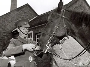 A Life Guard gives Puritan The Horse a helping hand drinking his Pint of Beer at a