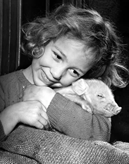 Piglet Prints: Little girl cuddles a piglet Children with Animals 20 / 01 / 1955