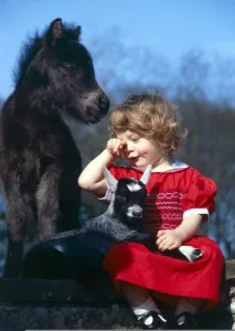 Goat Prints: Little girl hugging pygmy goat kid with miniature horse April 1981