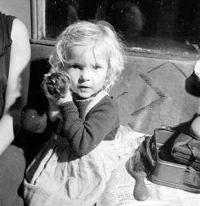 00177 Prints: Little girl Josephine Curzon from Maidenhead who keeps rats for a hobby 1963