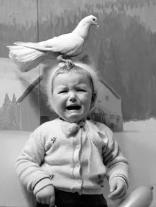 A little girl in a Manchester department store is upset by the doves in Santa