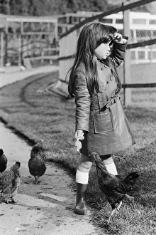 The little girl who had her iced lolly pecked by the chickens at Plymouth Zoo