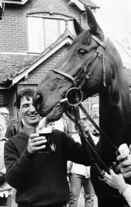 Little Polveir winner of the 1989 Grand National stops for a Pint of Beer outside
