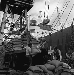 Cargo Prints: Liverpool Dockers unloading ships in the Dockyards August 1965