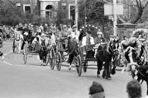 00605 Prints: Liverpool May Horse Parade, Saturday 10th May 1986