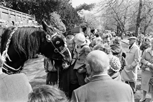 00605 Prints: Liverpool May Horse Parade, Saturday 10th May 1986