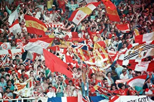 Liverpool verses Wimbledon. FA Cup final at Wembley Stadium