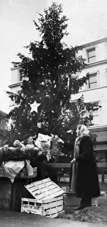 Liverpools flower sellers did a brisk trade in selling mistletoe