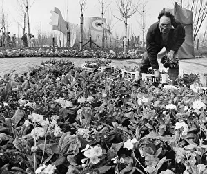 00544 Prints: Liverpools International Garden Festival 23rd March 1984 Bill Hughes of Crosby