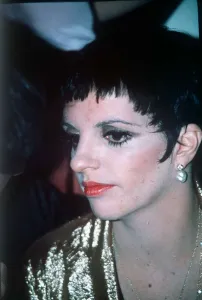 Liza Minnelli singer and actress daughter of singer and actress Judy Garland