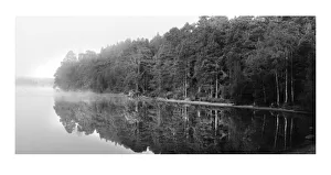 Peaceful Prints: Loch Garten is famous for the ospreys that can be seen from the Osprey Centre amidst