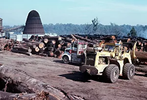Dramatic Prints: Logging trucks being unloaded at Sawmill near Orbost in Victoria, Australia