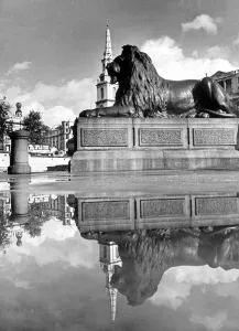 Mouments Prints: London England October 1945 Trafalgar Square London Views Post-War The Lions