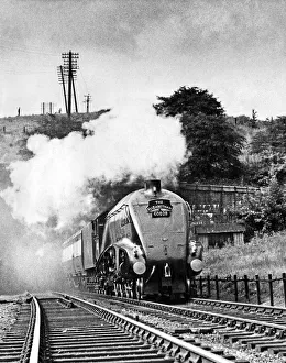 Tracks Prints: The London North East Railway Class A4 4-6-2 steam locomotive 60028 Walter K