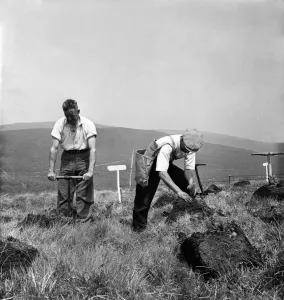 Spade Prints: Lord Badner (Chairman of National Forest Committee) trying his hand at planting trees by
