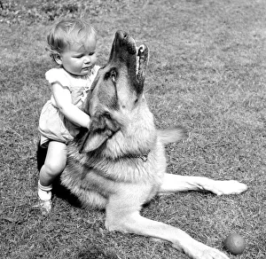 Toddlers Prints: Lorraine Francesca Smith is only one year old but she is great pals with Brutus