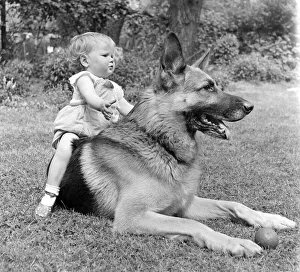 Toddlers Prints: Lorraine Francesca Smith is only one year old but she is great pals with Brutus