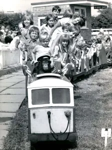 Primates Prints: Louis the Chimp takes kids for a ride- July 1987 Twycross Zoo, 1980s